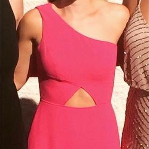 Fuchsia BCBG Gown